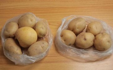 种土豆作文优质5篇