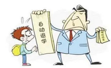 学生退学申请书推荐6篇