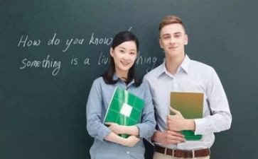 幼儿园户外教研活动总结5篇