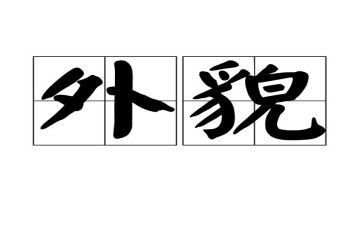 写描写老师外貌的作文通用5篇