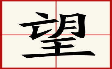回首2024展望2024优秀作文8篇