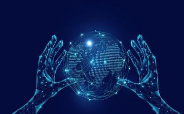 网络员的工作计划7篇