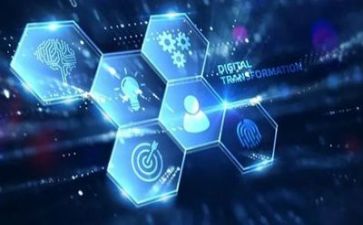 教师网络个人总结模板6篇