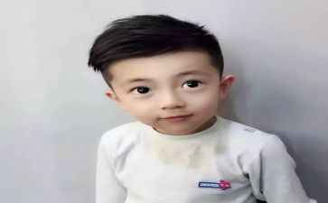 读小王子的读后感通用7篇