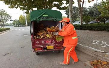 环卫工作总结和工作计划7篇