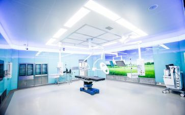 2024年卫生院半年总结8篇
