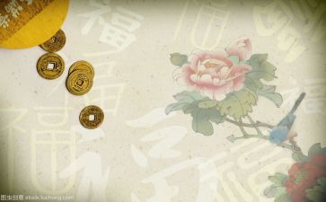 送文化年活动总结模板6篇