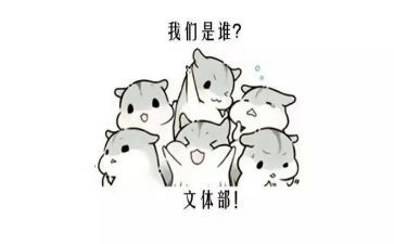 班级文体活动总结7篇
