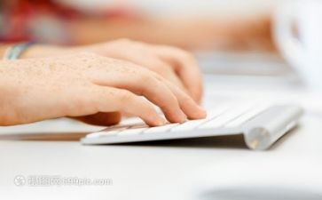 文员个人年终工作总结模板7篇