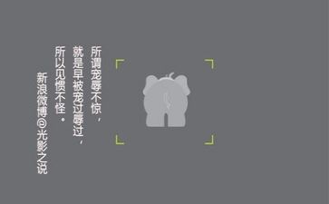 文字的调查报告8篇