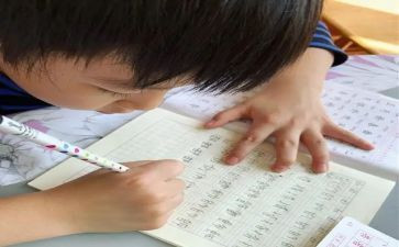 我的名字的教案6篇