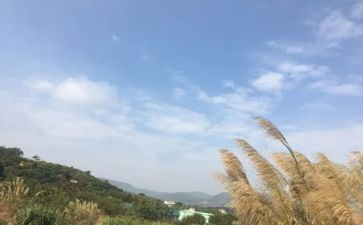 写我的一天作文400字精选6篇