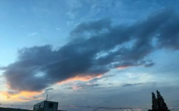 《我的一天》优秀作文最新8篇