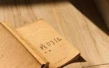 我们仨的读后感800字8篇