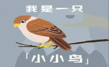 爱小鸟的作文7篇