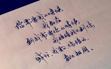 我需要你作文800字5篇