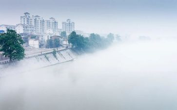 雾霾英语小作文7篇