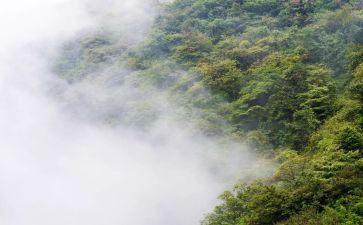 雾天气作文8篇