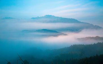 雾作文400写景作文5篇