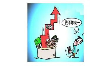 物价的调查报告5篇