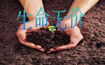 无价作文600字优质8篇