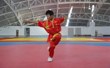 武术的工作计划7篇