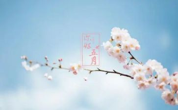 五月演讲稿6篇