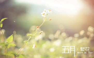 小班幼儿五月份工作总结7篇