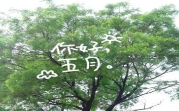 五月份销售工作计划6篇