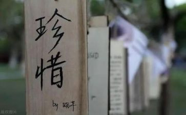 有关惜的作文优秀5篇