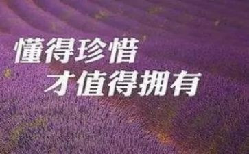 关于珍惜粮食的作文8篇