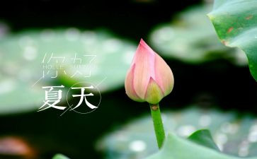 巜夏洛的网》读后感8篇