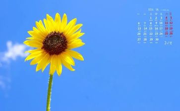 种向日葵的作文5篇