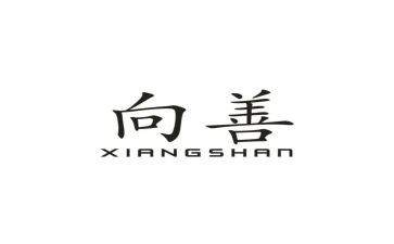 从向善的演讲稿最新8篇