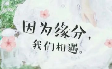 的相遇作文优秀5篇