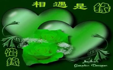 我与的相遇作文通用8篇