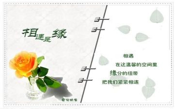 我与的相遇作文8篇