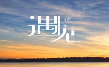 和谁相遇的作文优质6篇