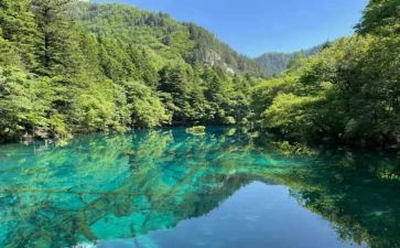 汉修先生读后感6篇
