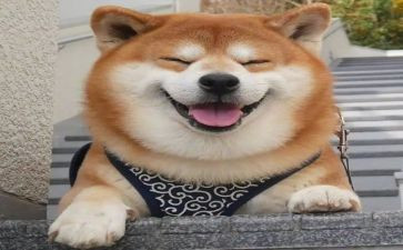 给一个微笑600字作文5篇