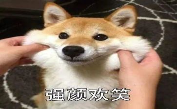 狼的微笑演讲稿优质6篇