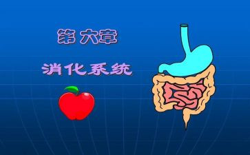2024年消化内科工作计划8篇