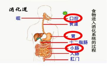 消化内科年度总结7篇