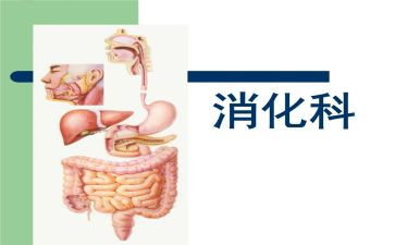 消化科室工作计划5篇