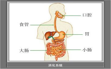 护士消化科个人总结5篇