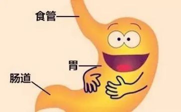 消化内科年终总结7篇