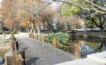 校内实训心得体会5篇