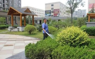 小区物业工作总结模板7篇