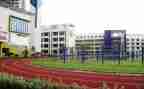 小学队活动总结报告8篇