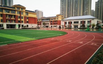 创建校园活动总结优秀7篇
